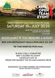 Image result for Greenmeadow Badminton Club