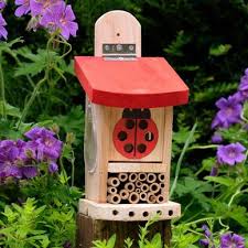 Image result for ladybug house