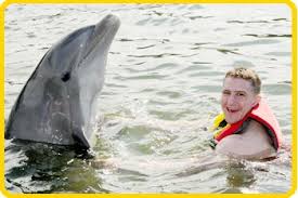 Image result for Dolphins Sheltered & Disabled Swim Club