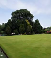 Image result for Motherwell Bowling Club