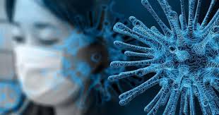 Image result for Cove and Kilcreggan Bowling Club