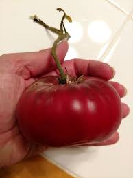 Afbeeldingsresultaat voor cherokee purple tomato