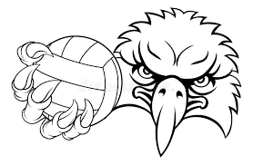 Image result for White Eagles Volleyball Club