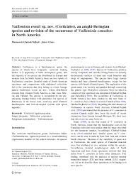 Attēlu rezultāti vaicājumam “Vuilleminia comedens”
