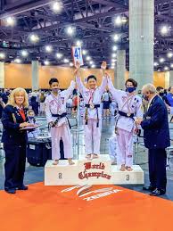 Image result for Guerrero Martial Arts