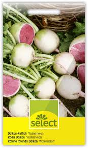 Image result for Rettich