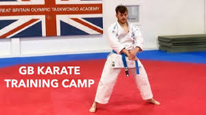 Image result for Great Britain Martial Arts Academy