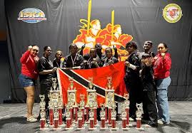 Image result for Pyramid martial arts