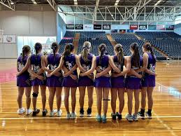 Image result for Newdigate Netball Club