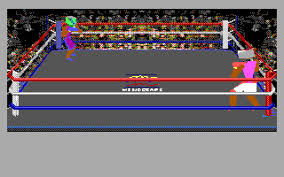 Image result for 4D Sports Boxing