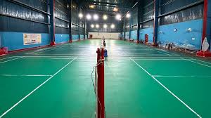 Image result for Pioneers Badminton Club
