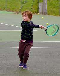 Image result for Wrecclesham Tennis Club Ltd