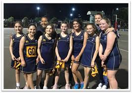 Image result for Meon Netball Club