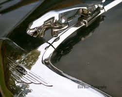 Image result for Silver Blue 1959 Jaguar