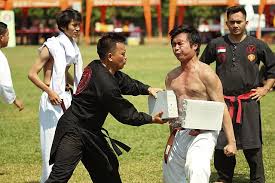Image result for Silat Perisai Diri Classes Club