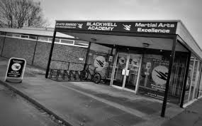 Image result for Martial Art Centre of Excellence