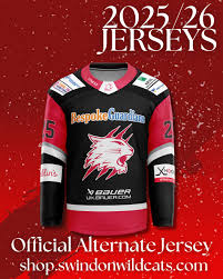 Image result for Swindon Panthers