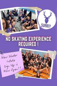 Image result for Surrey roller girls