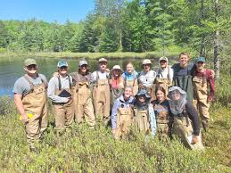 Image result for Austerlands Institute