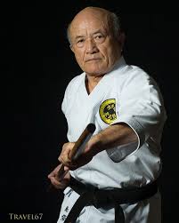 Image result for Zen Shin Seicho Do Adult Karate