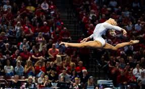 Image result for Redcar School Of Gymnastics