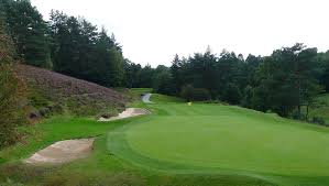 Image result for Hindhead Golf Club