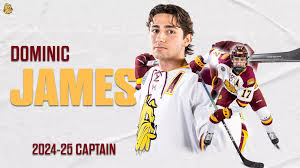 Image result for dominic james