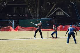 Image result for Cimla Cricket Club