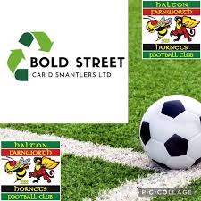 Image result for Halton Farnworth Hornets Rugby League Football Club