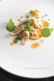 Image result for geoduck