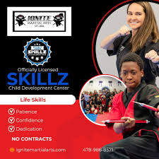 Image result for Skillz Martial Arts