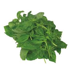 Image result for Basilikum