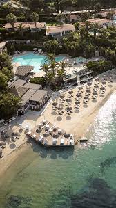 Image result for Palace Eagles Octopush Club