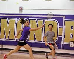 Image result for Henfield Dist Badminton Club
