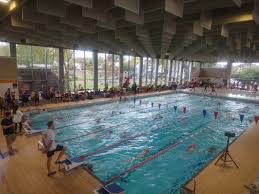 Image result for Teddington Swimming Club