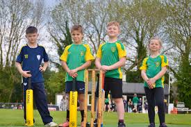 Image result for Churt Cricket Club