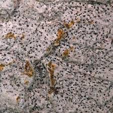 Attēlu rezultāti vaicājumam “Arthonia byssacea”