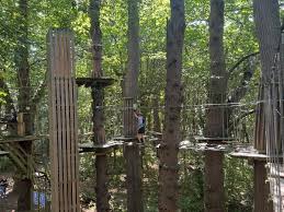 Image result for Go Ape! Leeds Castle