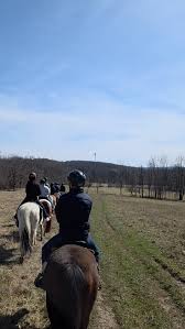 Image result for Patchett`s Green Riding Club