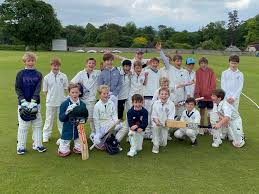 Image result for Cockermouth Cricket Club