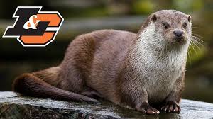 Image result for Otters Old Time Dance Club