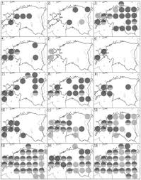 Attēlu rezultāti vaicājumam “Ommatoiulus vilnensis”