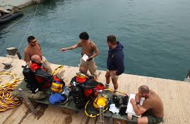 Image result for Dive Crew Scuba Diving