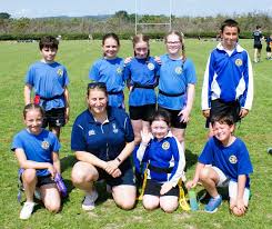 Image result for Luctonians Cricket Club