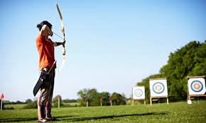 Image result for Blue Arrows Archery Club