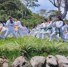 Image result for Tora Dojo