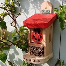 Image result for ladybug house