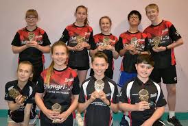 Image result for Lindfield Junior Badminton Club