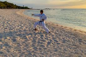 Image result for Imi Jishin Ryou karate do