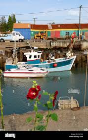 Image result for Holyhead Trojans